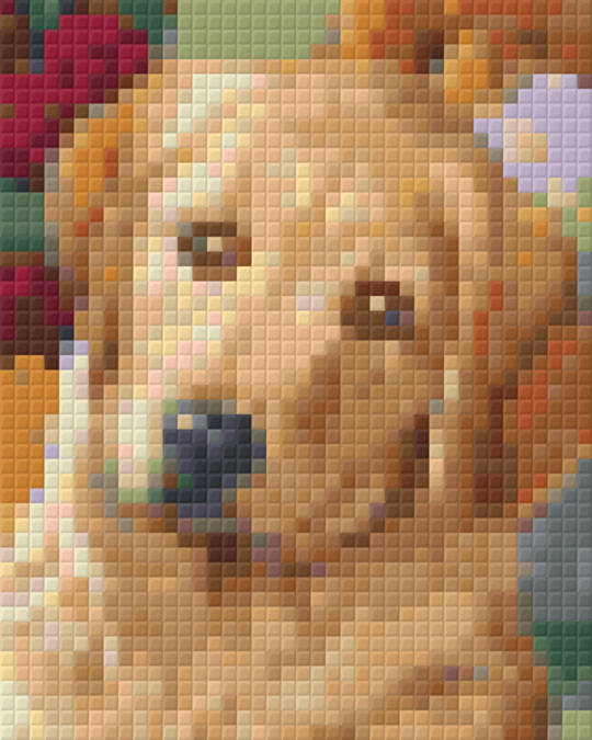 Golden Retriever One [1] Baseplate PixelHobby Mini-mosaic Art Kit